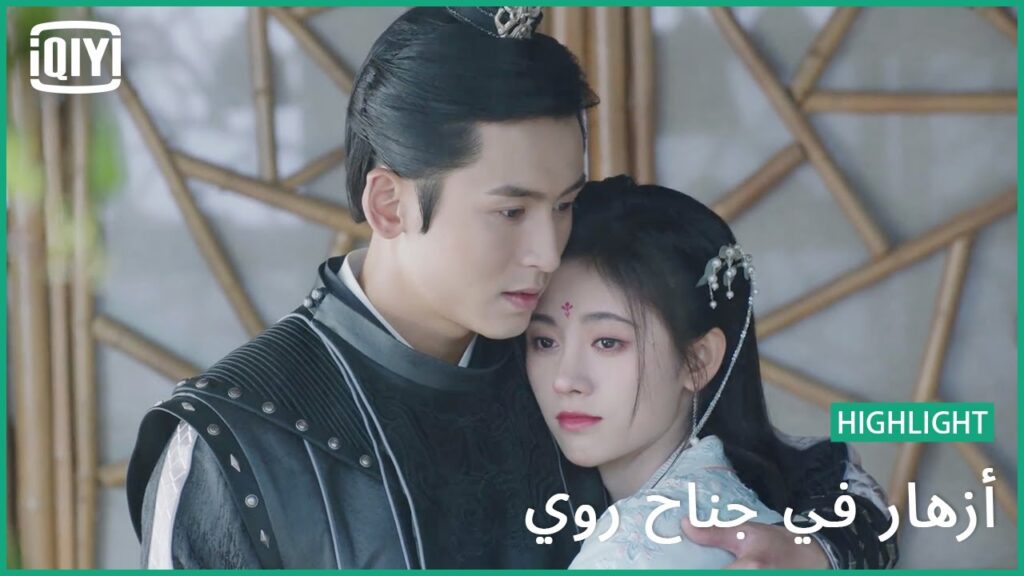 أوراق اللوتس | أزهار في جناح روي | iQiyi Arabic