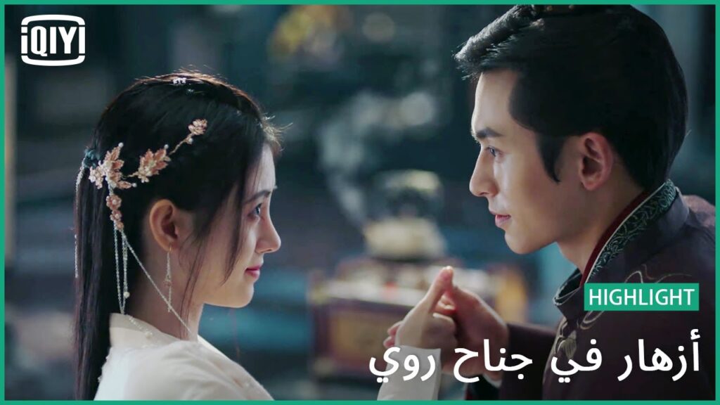 هدية دبوس الشعر | أزهار في جناح روي | iQiyi Arabic