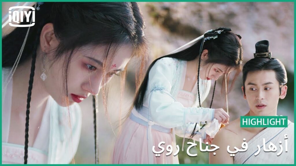 أنا فداء لكي | أزهار في جناح روي | iQiyi Arabic