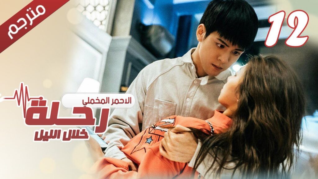 الحلقة 12 من مسلسل الاثارة ( رحلـة خلال الليل | The Journey Across the Night ) مترجمة