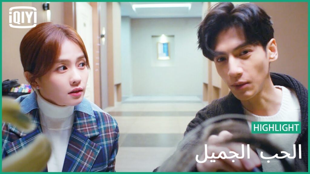 💝هاى فايڤ | الحب الجميل | iQiyi Arabic