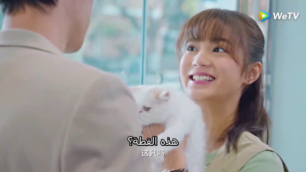 قطة لطيفة بين رومانسية ألطف مقطع من الحلقة 21 مسلسل سأكون معك