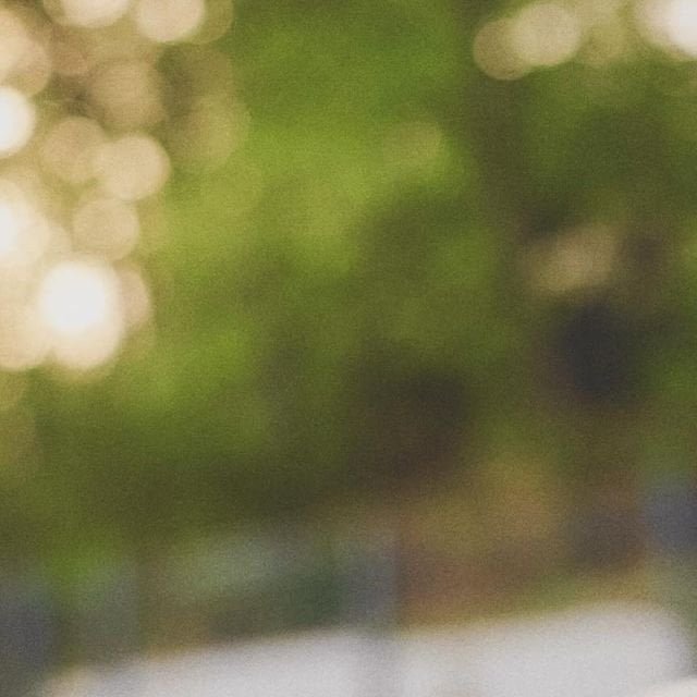 240425 Bowwow_bam على الانستقرام