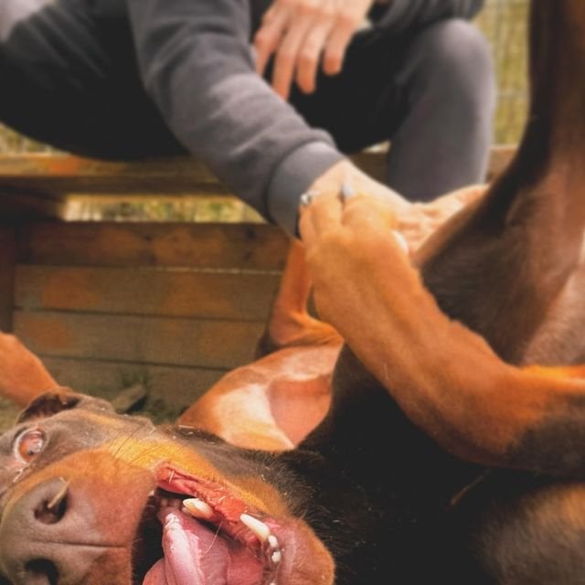 240427 بام على الانستغرام