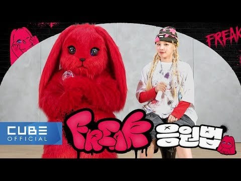 240423 دليل فانشانت يوكي "غريب".