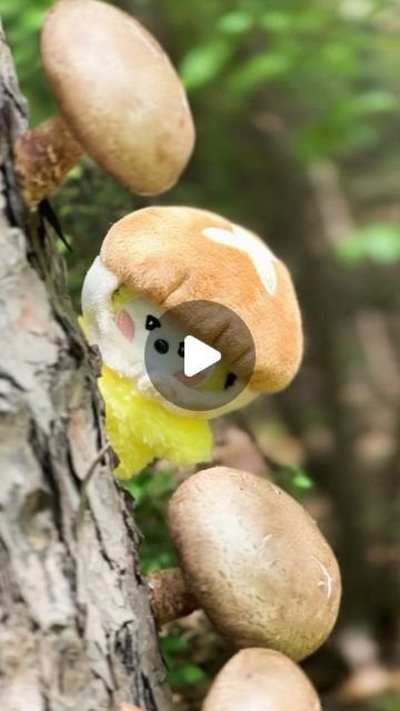 240430 BT21 على الانستقرام: مرحبًا بكم [BT21 mini minini Veggie] حديقة!🚜🥦🫛