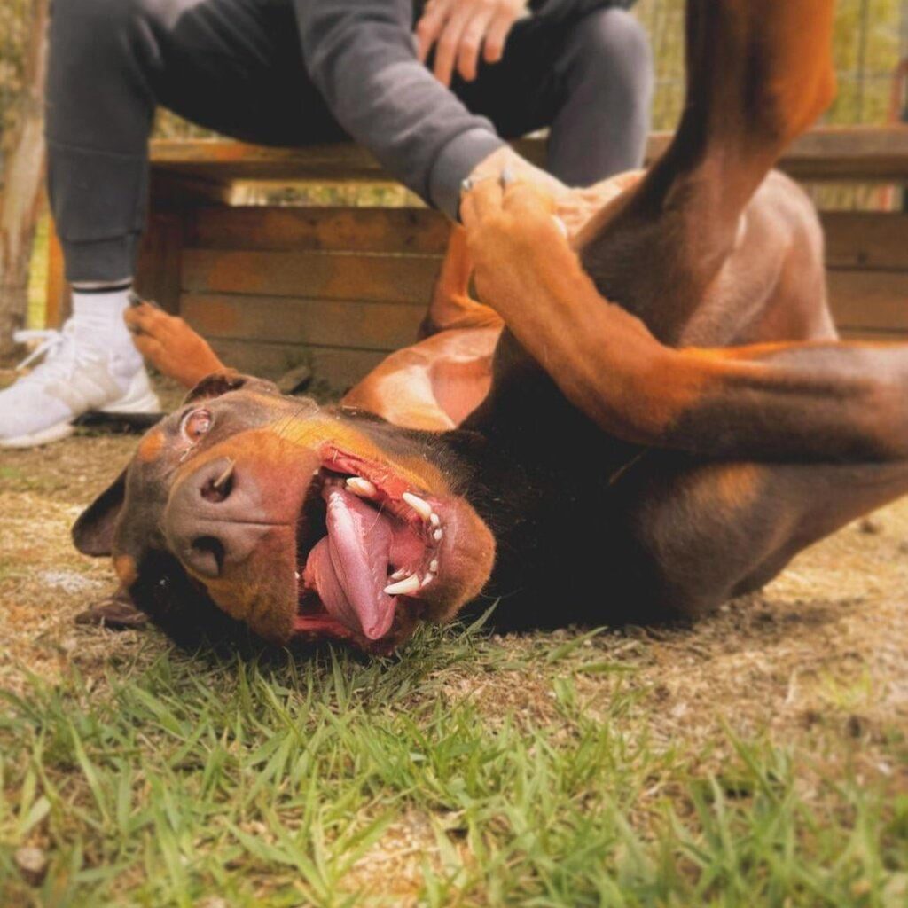 بام اي جي بوست 270424