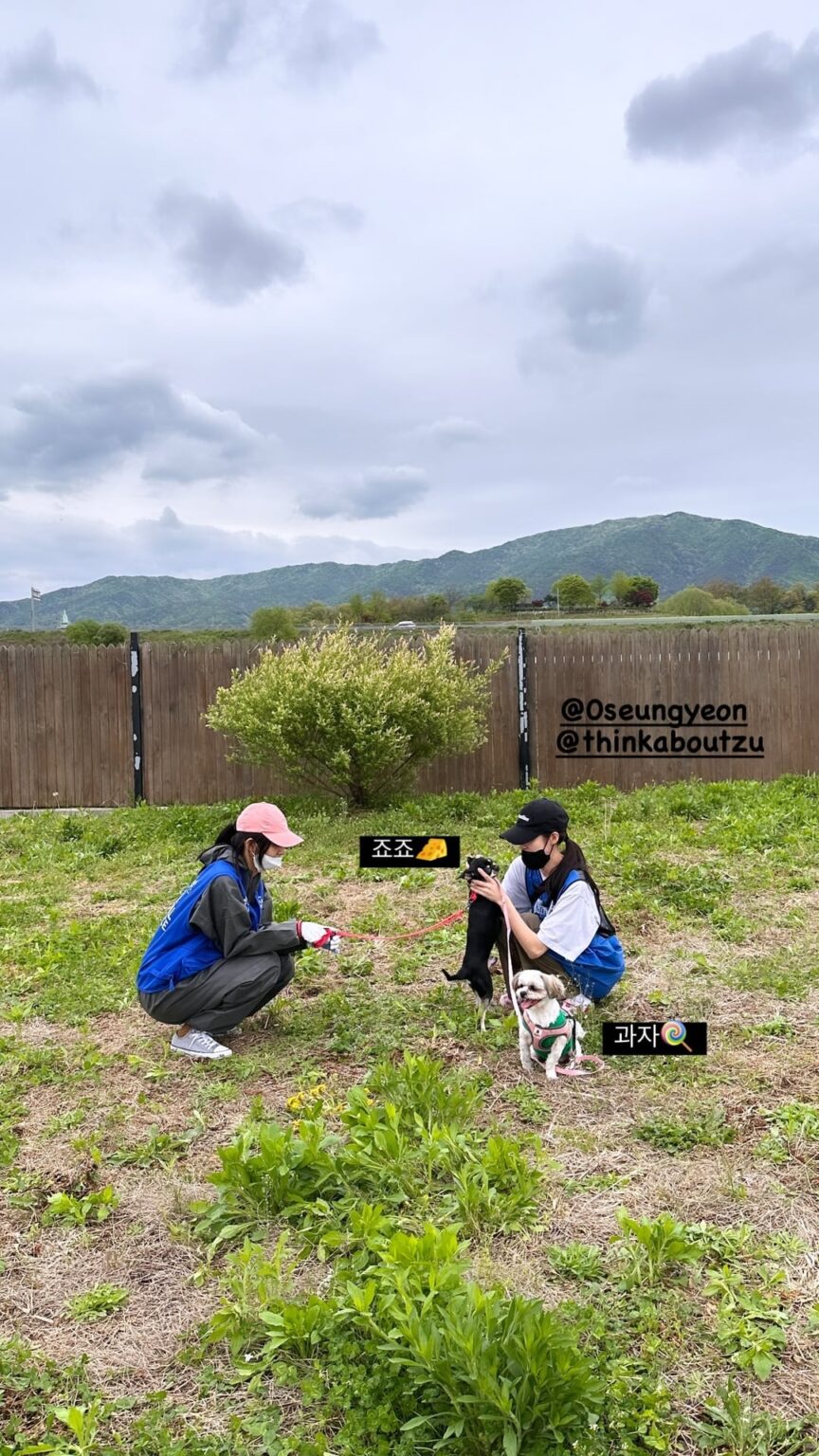 240421 تحديث قصص الانستغرام ansunganimalcare - جونغيون وتزويو وسيونغيون يساعدون في مأوى للحيوانات