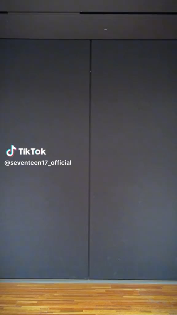 240430 تحديث SEVENTEEN على التيك توك: تحدي الرقص "MAESTRO" (Woozi مع ZICO)