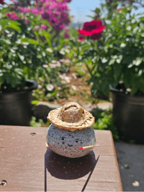 240502 تحديث جونغهان على الويفيرس (2)