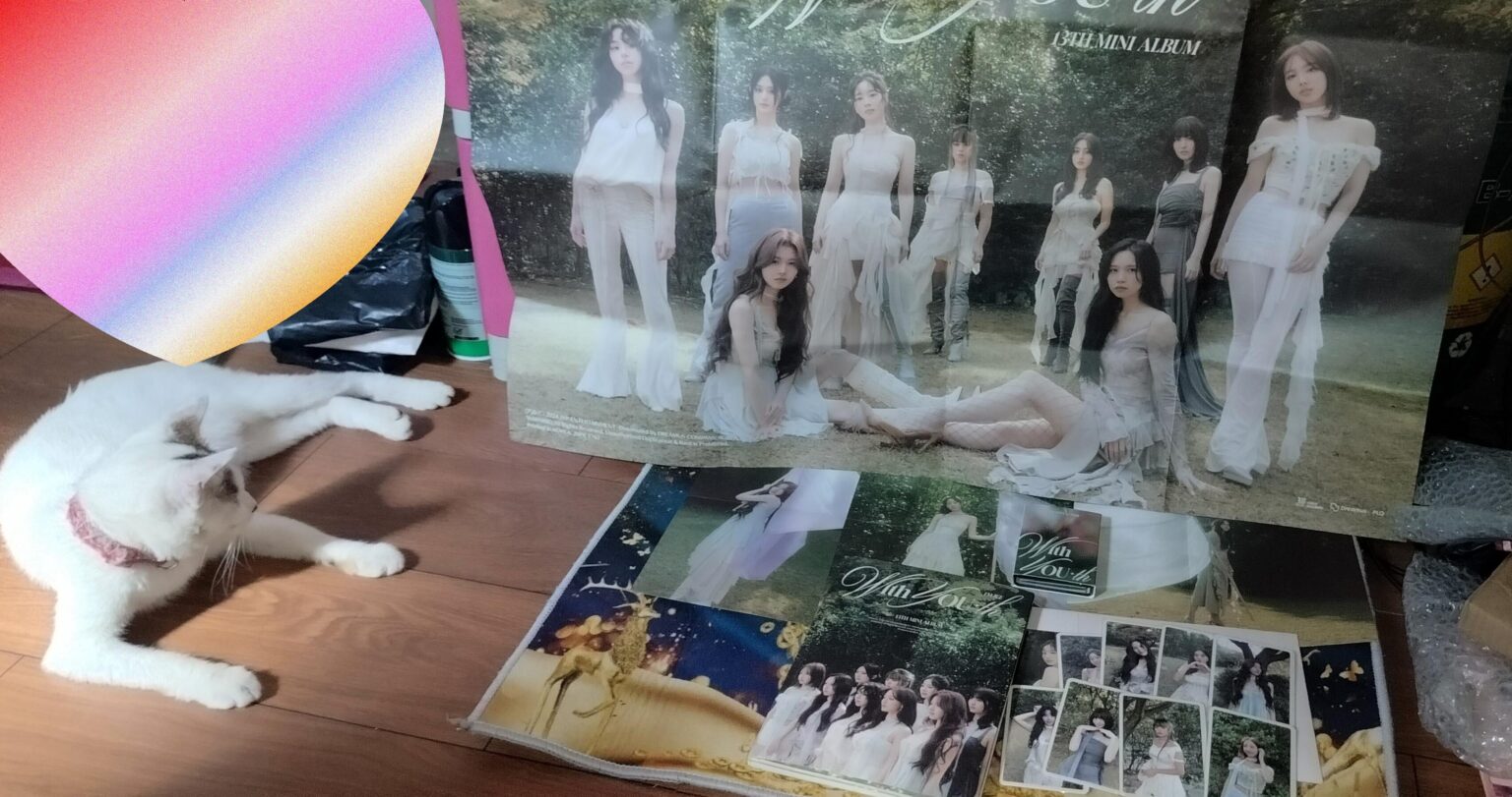 قطتي تحدق بالملصق الكبير مع الشباب إلى الأبد 😺