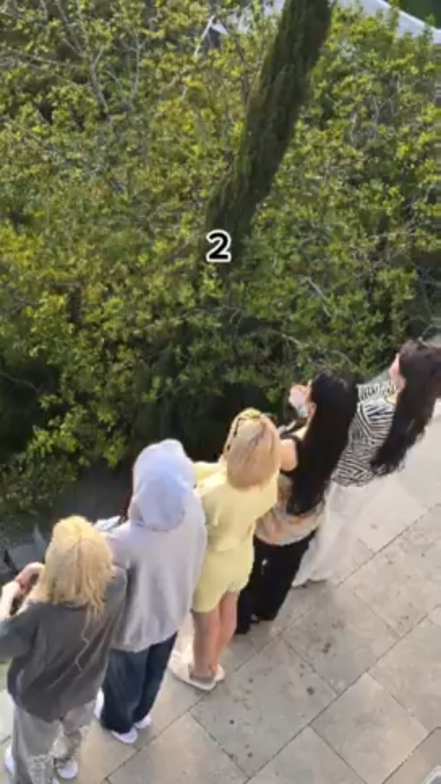 240503 تحديث هوه يونجين للويفيرس