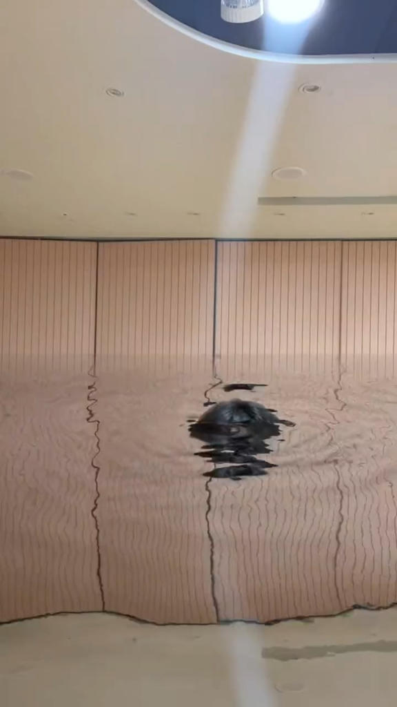 240511 تحديث تيك توك لستراي كيدز