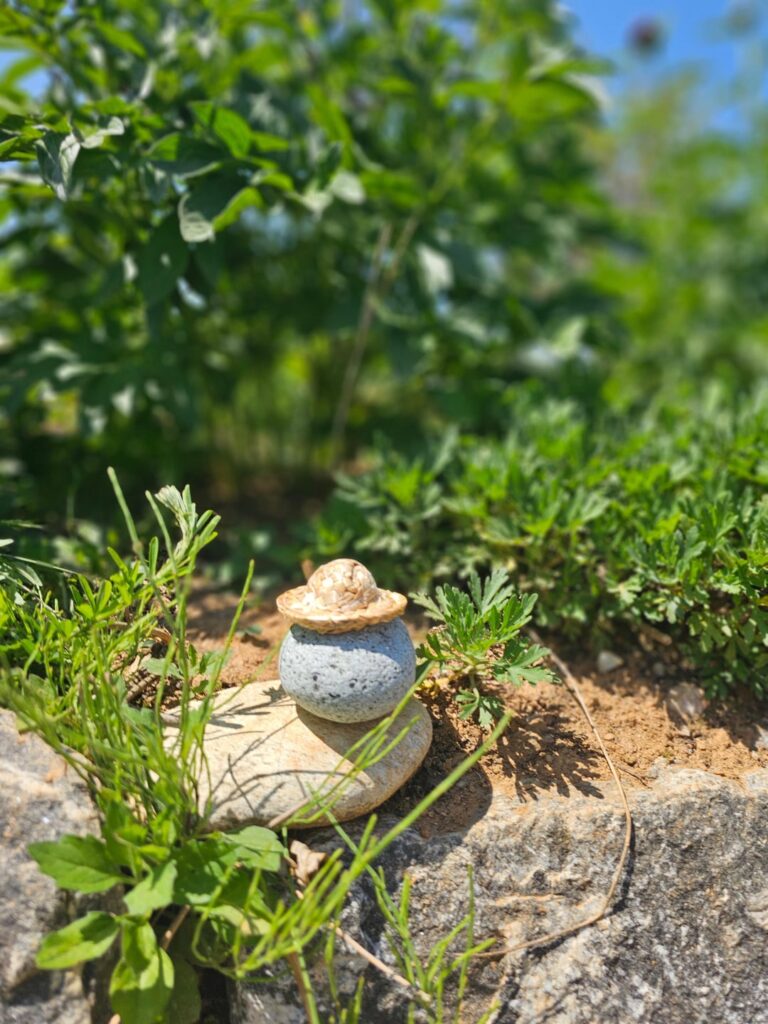 240502 تحديث جونغهان على الويفيرس