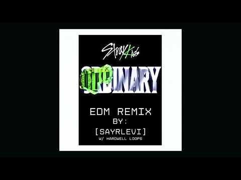 240508 - ستراي كيدز - فينوم [EDM Remix]