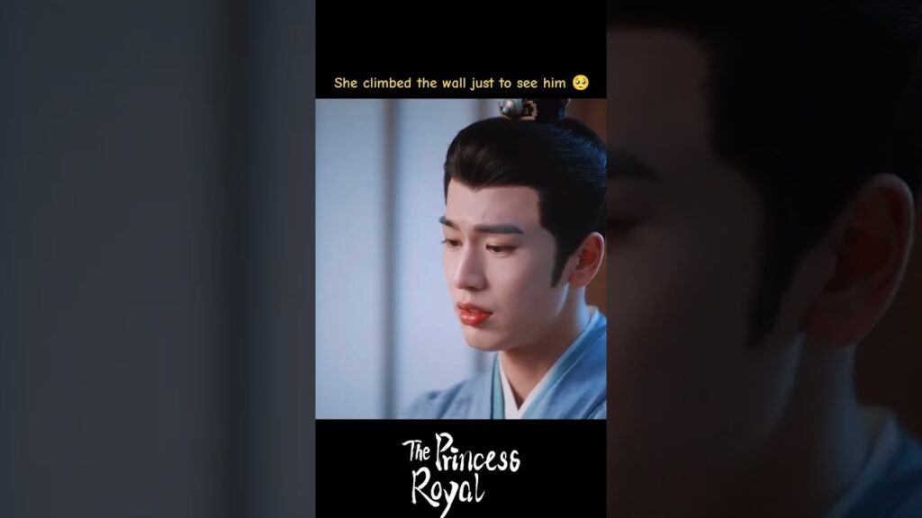إنها مسلقد تسلقت الجدار فقط لرؤيته🤭🤣 #الأميرة_الملكية #ThePrincessRoyal #ZhaoJinmai #ZhangLinghe