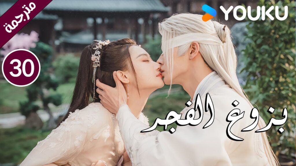 الحلقة 30 بزوغ الفجر | Dawn is Breaking | هي شوان لين | لي في | وانغ شينغ وي | YOUKU