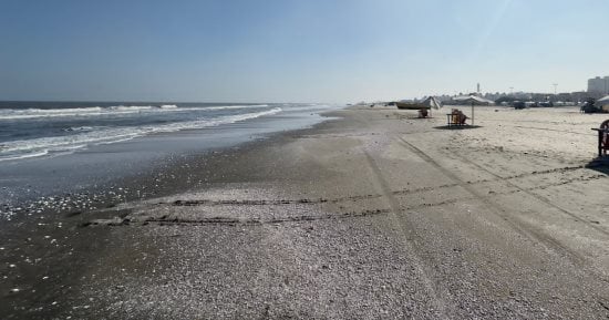 طقس غد مائل للحرارة نهارا بارد ليلا وشبورة خفيفة والصغرى بالقاهرة 18 درجة