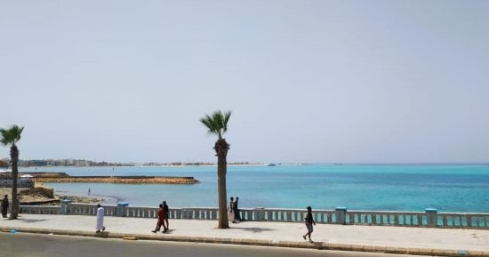 نشاط رياح وشبورة وأجواء مائلة للبرودة ليلا.. تفاصيل الطقس حتى الجمعة