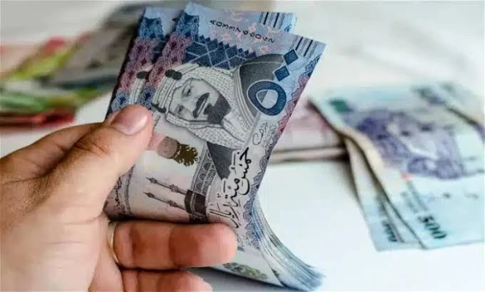 تعرف على متوسط رواتب الموظفين السعوديين ﻓﻲ اﻟﺮﺑﻊ اﻟﺜﺎﻧﻲ ﻣﻦ ﻋﺎم 2024 تعرف على متوسط رواتب الموظفين السعوديين ﻓﻲ اﻟﺮﺑﻊ اﻟﺜﺎﻧﻲ ﻣﻦ ﻋﺎم 2024