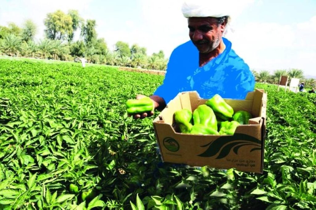 الزراعة المستدامة في الإمارات.. نقلة نوعية لتحقيق الاكتفاء الذاتي الزراعة المستدامة في الإمارات.. نقلة نوعية لتحقيق الاكتفاء الذاتي