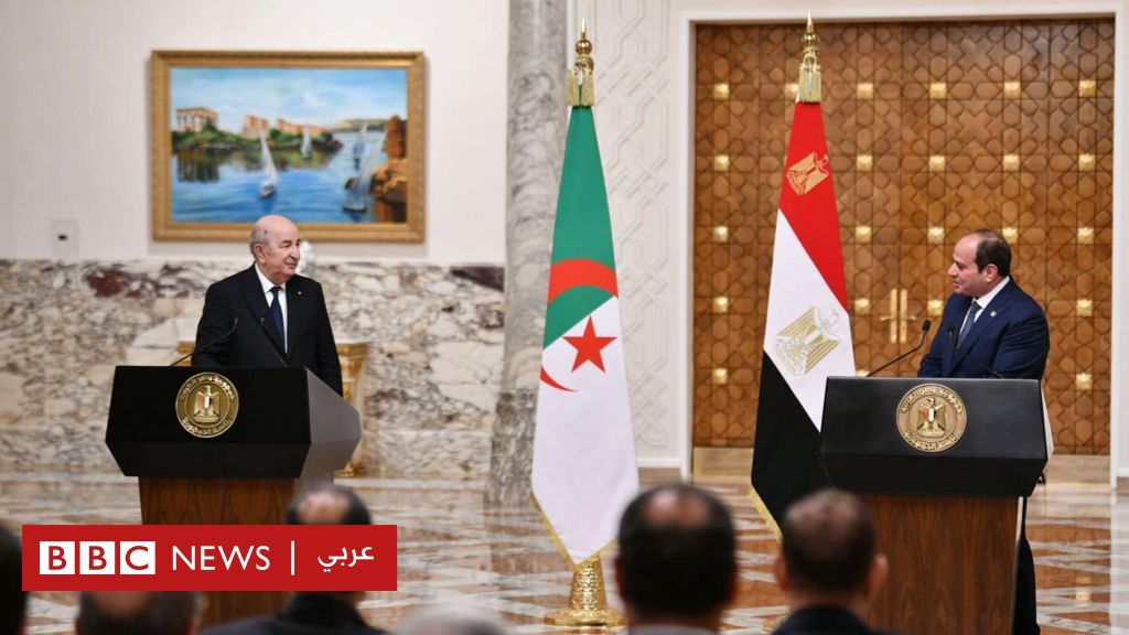 حرب غزة: يومان لوقف إطلاق النار وتبادل لرهائن وسجناء، ما مصير المبادرة المصرية لهدنة في غزة؟ حرب غزة: يومان لوقف إطلاق النار وتبادل لرهائن وسجناء، ما مصير المبادرة المصرية لهدنة في غزة؟