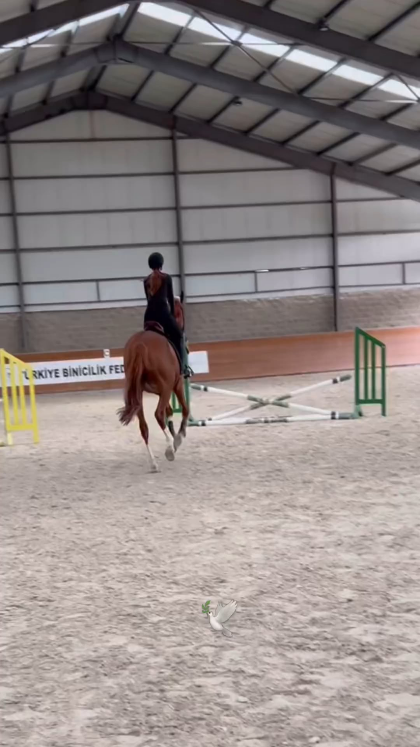 Danla Bilic attan düştü