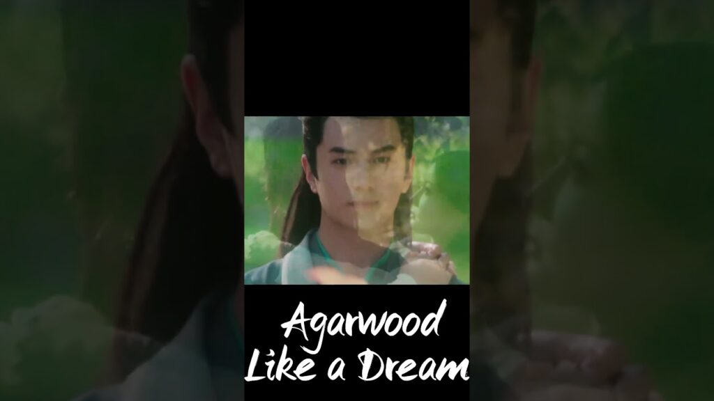 🥺❤️#AgarwoodLikeaDream #沉香如梦夜不寒 #YOUKU #优酷 #حلم_كالعود #lijiulin #zhangyazhuo