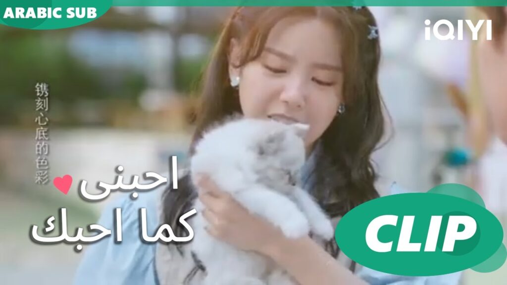 "تيان" تساعد "شي لاي" علي حب القطط | احبني كما احبك  Love Me Like I Do | الحلقة 10 | iQIYI Arabic