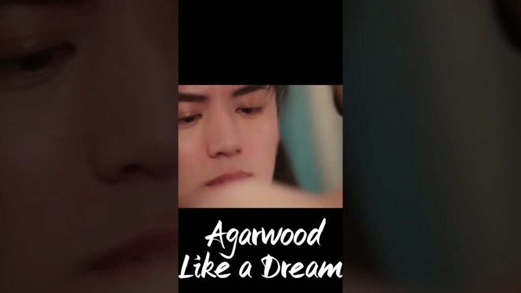 يقبل جرحها 🥺  #AgarwoodLikeaDream #沉香如梦夜不寒 #YOUKU #优酷 #حلم_كالعود #lijiulin #zhangyazhuo