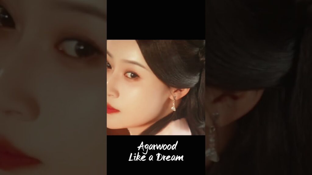 دعيني اتأمل جمالك 😍😍  #AgarwoodLikeaDream #沉香如梦夜不寒 #YOUKU #优酷 #حلم_كالعود #lijiulin #zhangyazhuo