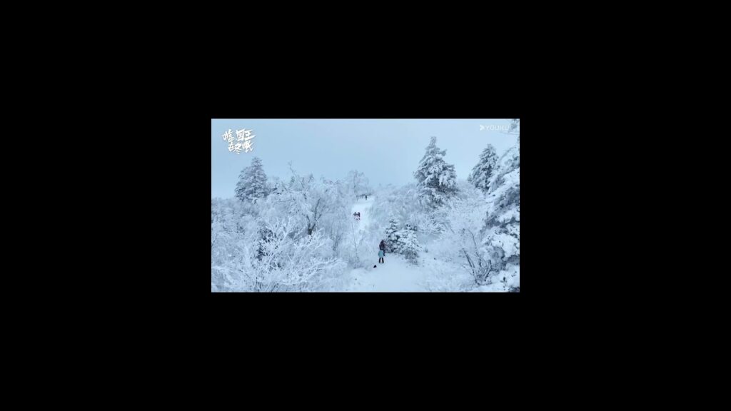 #تزلج_بالحب  ##skateintolove