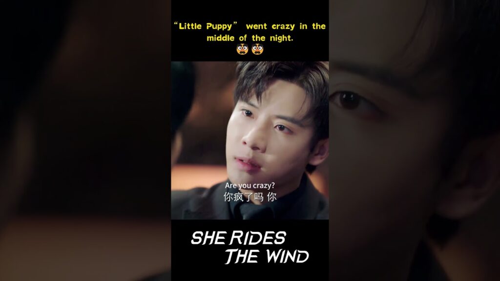 💔 #daigaozheng #hehua #هي_تركب_الرياح #sheridesthewind #youku