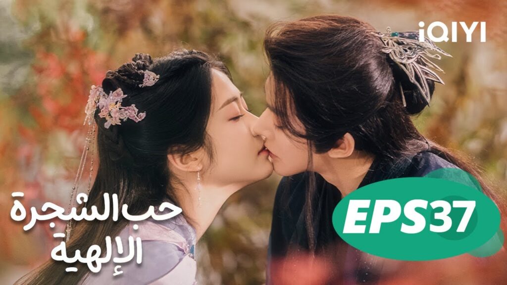 حب الشجرة الإلهية Love of the Divine Tree  | الحلقة 37 | iQIYI Arabic