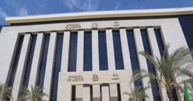 وزارة العمل: المصرى صاحب فيديو التعنيف رفض التعويض رغم تحصيل زملائه حقوقهم