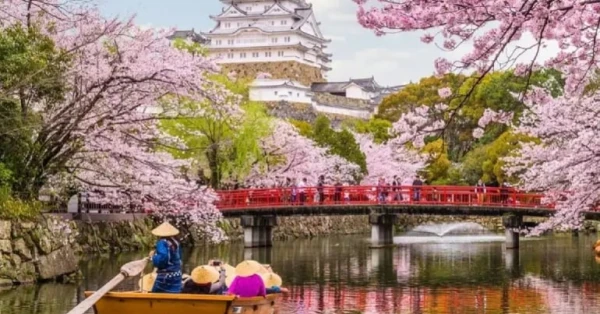 جريدة البلاد | سياح يلغون رحلاتهم إلى اليابان بسبب تنبؤات عرافة يابانية