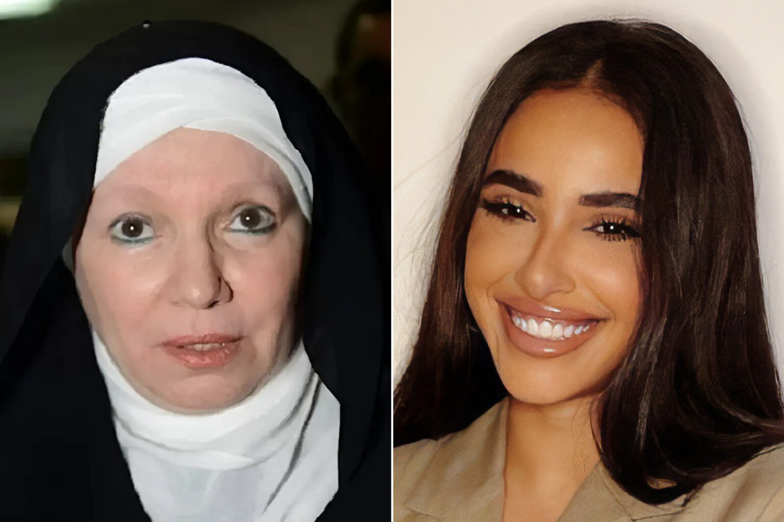 بسبب عيادة بيطرية.. نقابة الممثلين تدرس وقف آية سماحة ومشيرة إسماعيل ترفض الاعتذار | فن