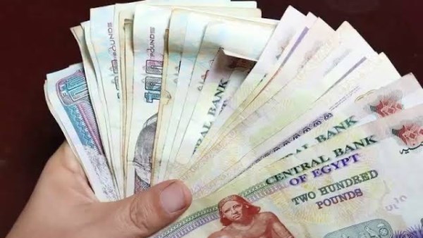 صرف 2000 جنيه مكافأة لكل موظف قبل العيد.. مفاجأة للعاملين بهذه الجهة الحكومية صرف 2000 جنيه مكافأة لكل موظف قبل العيد.. مفاجأة للعاملين بهذه الجهة الحكومية