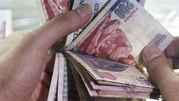 مرتبات أعضاء هيئة