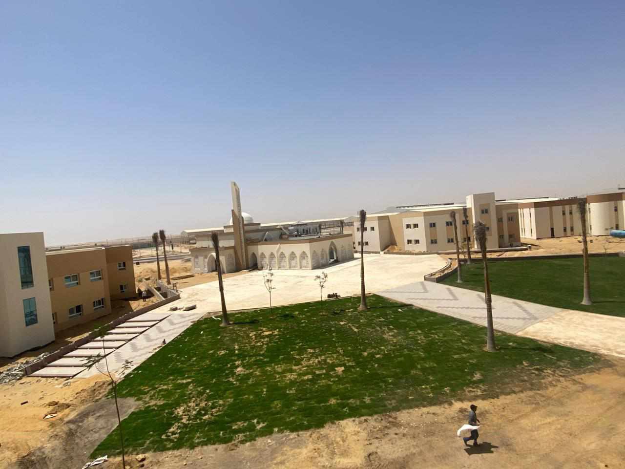 سوق الجملة مستقبل مصر