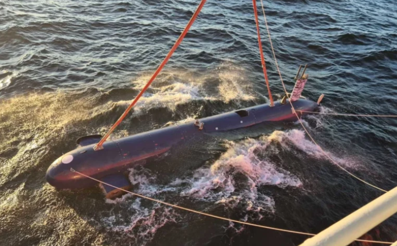 غواصة الحوت الأزرق إسرائيل