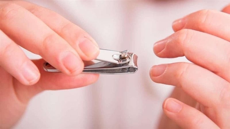 آخر موعد لتقليم الأظافر وقص الشعر للمضحي .. انتبه لا تذهب للحلاقة بعد هذا الموعد آخر موعد لتقليم الأظافر وقص الشعر للمضحي .. انتبه لا تذهب للحلاقة بعد هذا الموعد