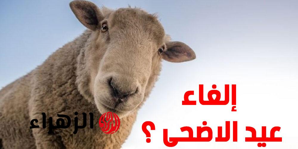 تحدث لأول مرة.. أول بلد عربية تعلن إلغاء شعيرة عيد الأضحى في هذا العام | فما السبب؟