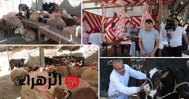 الحكومة المصرية تعلن تطبيق غرامات تصل إلى 10 آلاف جنيه على ذبح الأضاحي في الشوارع
