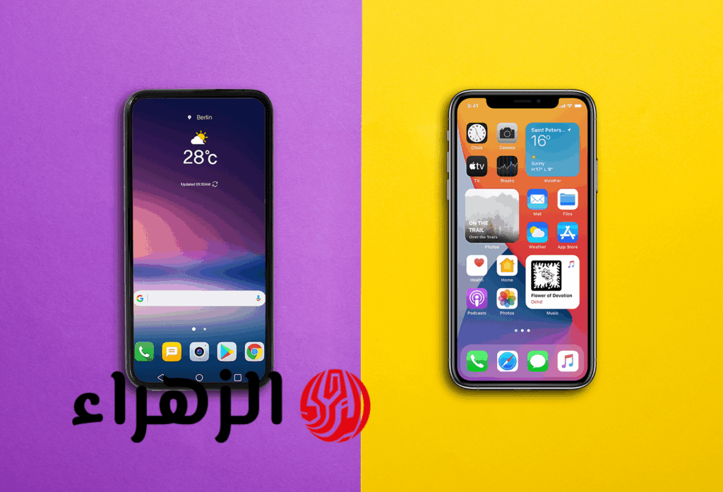 يهم ملايين المصريين.. الحكومة تكشف عن تطبيق جديد لازم يكون على تليفونك | فما هو؟