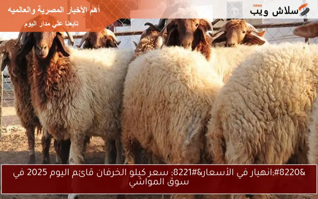 “هبوط حاد في الأسعار” سعر كيلو الخرفان قائم اليوم 2025 وأسعار الاضاحي في السوق المصري الان
