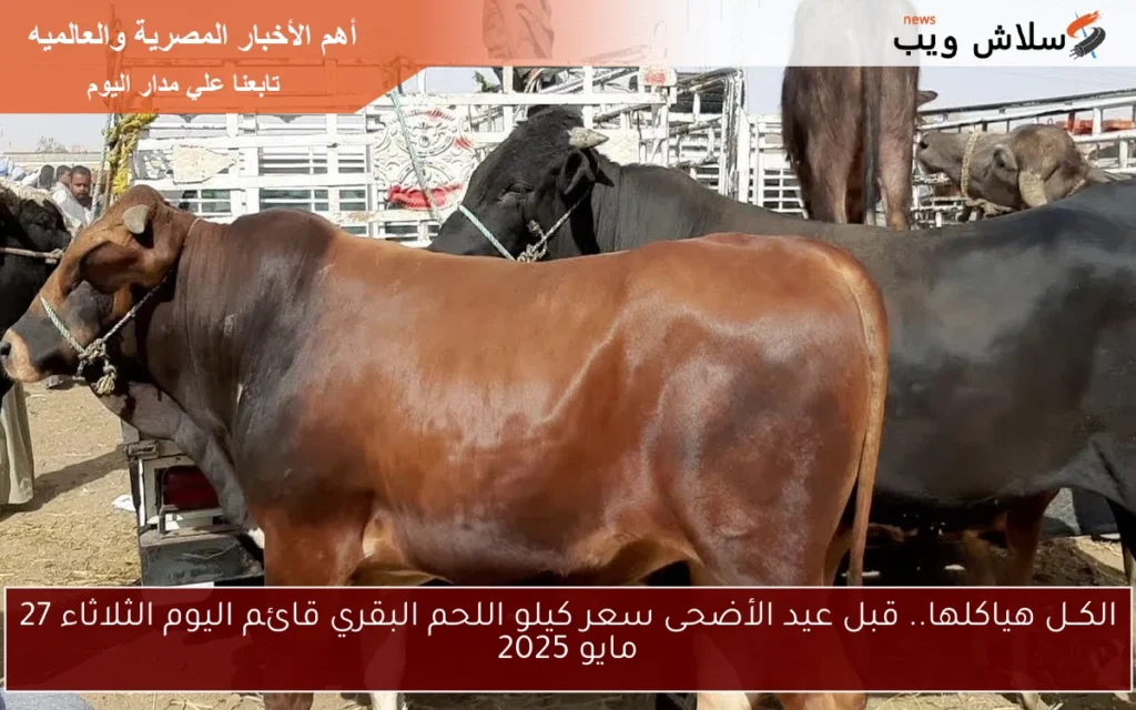 الكــل هياكلها.. قبل عيد الأضحى سعر كيلو اللحم البقري قائم اليوم الأربعاء 28 مايو 2025 الكــل هياكلها.. قبل عيد الأضحى سعر كيلو اللحم البقري قائم اليوم الأربعاء 28 مايو 2025