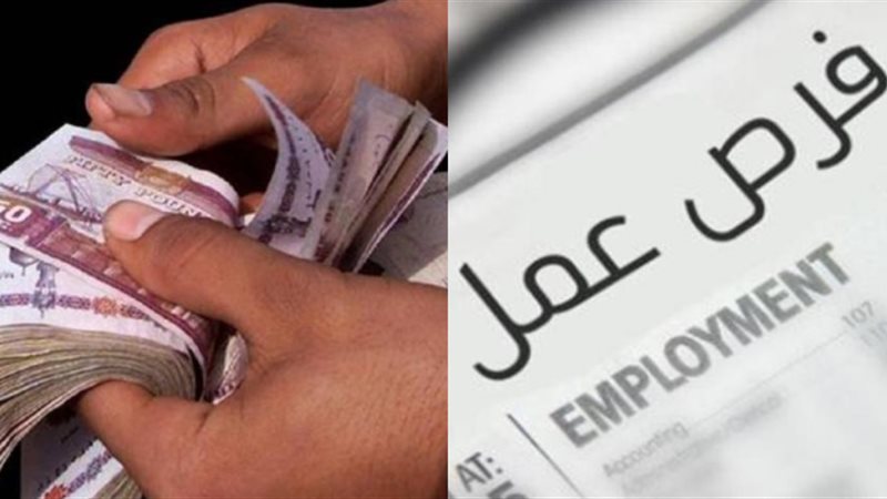 عاجل.. براتب 10000 جنيه.. وزارة العمل تعلن عن فرص توظيف جديدة للشباب حتى 40 عامًا.. وظائف خالية جديدة من وزارة العمل منها لحملة المؤهلات المتوسطة