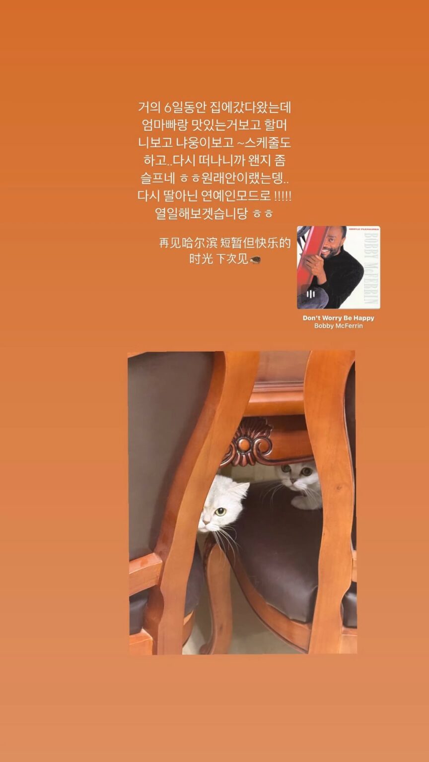 250611 أضواء تحديث قصة Instagram