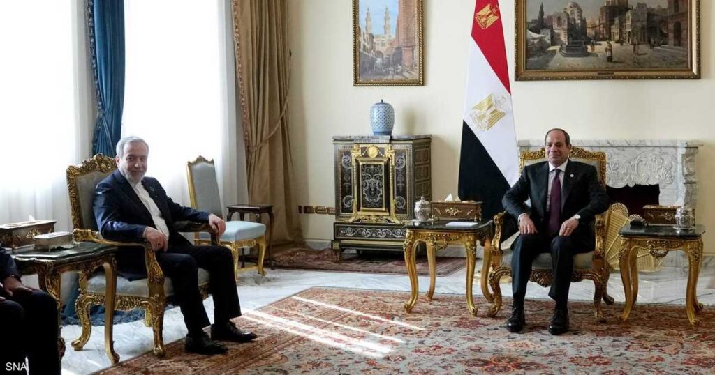 القاهرة.. السيسي يستقبل وزير الخارجية الإيراني القاهرة.. السيسي يستقبل وزير الخارجية الإيراني